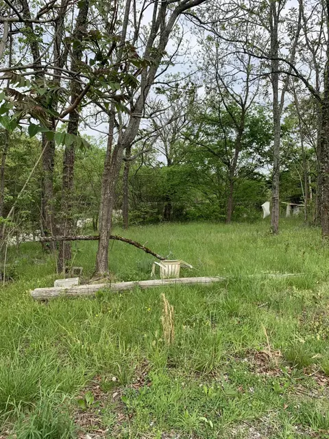 tbd Forest Road Midway Tn 37809, Midway, TN 37809