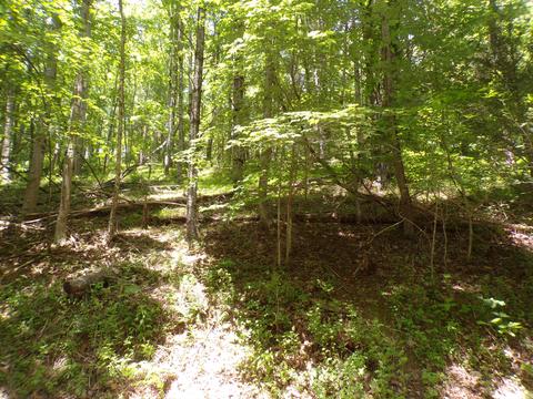 140 Moody Circle Butler Tn 37640, Butler, TN 37640