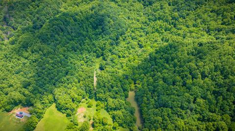 150 Morris Road Unicoi Tn 37692, Unicoi, TN 37692