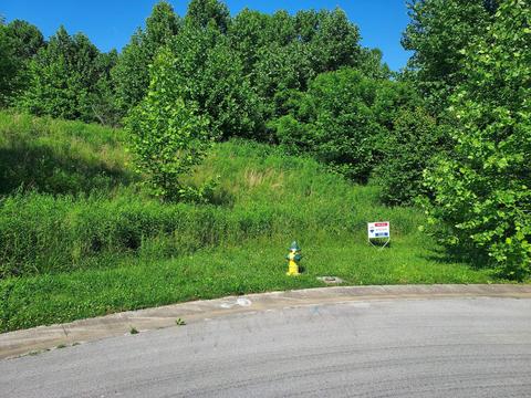 219 Brighton Place Bristol Tn 37620, Bristol, TN 37620