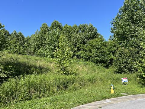 219 Brighton Place Bristol Tn 37620, Bristol, TN 37620 photo 5