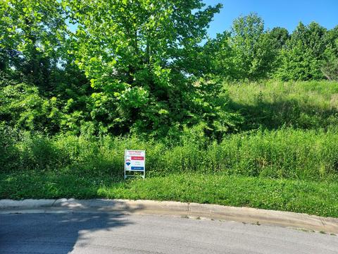 219 Brighton Place Bristol Tn 37620, Bristol, TN 37620 photo 6