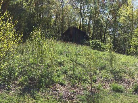 7311 Rocky Fork Road Wise Va 24293, Wise, VA 24293 photo 3