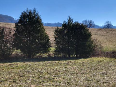 691-2 North Cherokee Street, Jonesborough, TN 37659