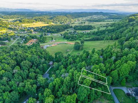 175 Ridgeheights Drive Gray Tn 37615, Gray, TN 37615 photo 3
