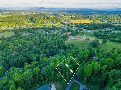 175 Ridgeheights Drive Gray Tn 37615, Gray, TN 37615 photo 4