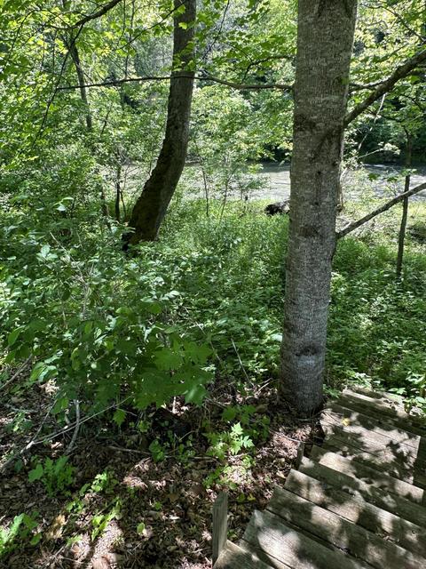 3485 Cedar Cliff Road Honaker Va 24260, Honaker, VA 24260 photo 21