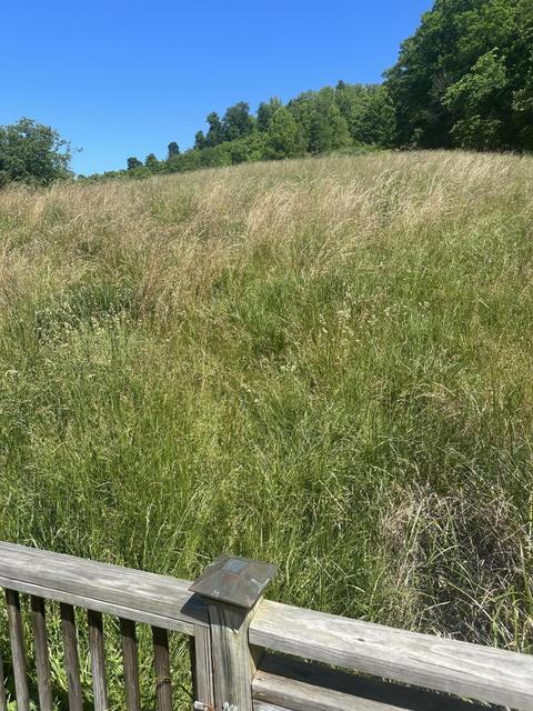 3485 Cedar Cliff Road Honaker Va 24260, Honaker, VA 24260 photo 19