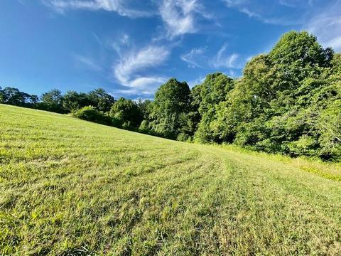 274 Morton Road Hampton Tn 37658, Hampton, TN 37658 photo 17