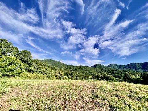 274 Morton Road Hampton Tn 37658, Hampton, TN 37658 photo 12