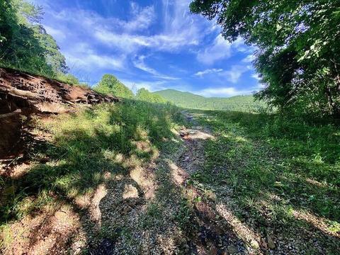 274 Morton Road Hampton Tn 37658, Hampton, TN 37658 photo 5