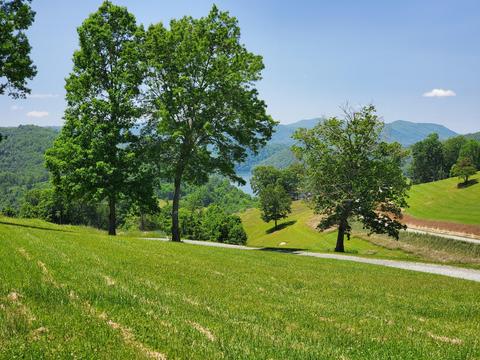 44 Starry Night Court Butler Tn 37640, Butler, TN 37640