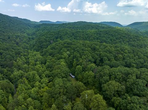1340 Barrett Hollow Road Rogersville Tn 37857, Rogersville, TN 37857