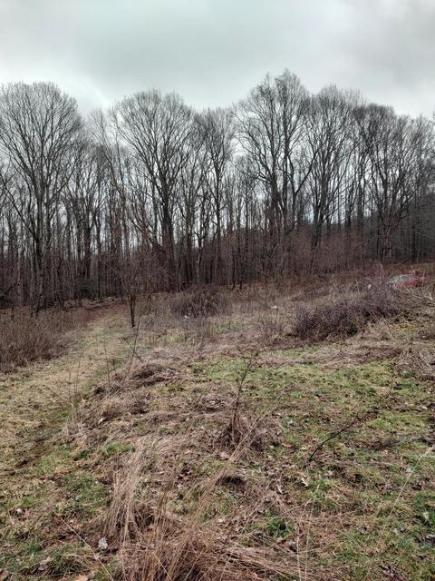 tbd Dyer Road Roan Mountain Tn 37687, Roan Mountain, TN 37687