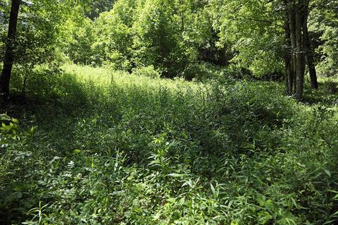 5224 Us-321 Butler Tn 37640, Butler, TN 37640