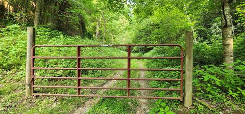000 Dr Taylor Lane Mountain City Tn 37683, Mountain City, TN 37683