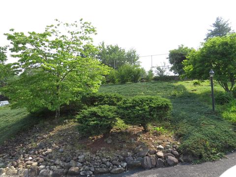 Exterior - 172 Ridgefield Road Wise Va 24293, Wise, VA 24293 photo 6 of 13
