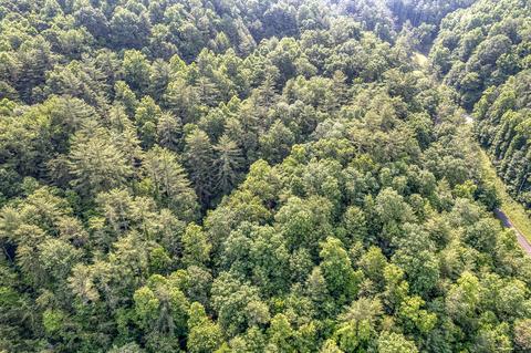 108 Worley Tilson Road Erwin Tn 37650, Erwin, TN 37650 photo 27