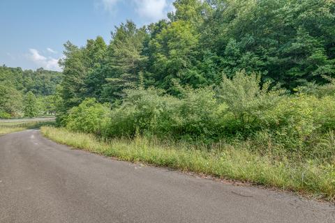 108 Worley Tilson Road Erwin Tn 37650, Erwin, TN 37650 photo 24