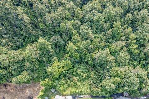 108 Worley Tilson Road Erwin Tn 37650, Erwin, TN 37650 photo 29