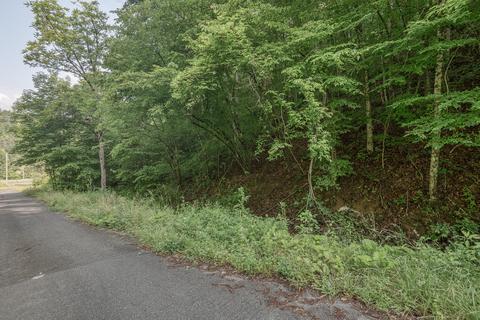 108 Worley Tilson Road Erwin Tn 37650, Erwin, TN 37650 photo 26