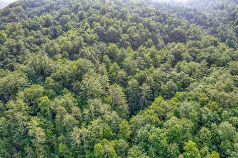 108 Worley Tilson Road Erwin Tn 37650, Erwin, TN 37650 photo 28