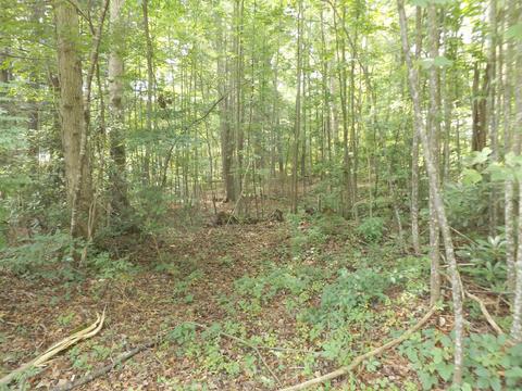 tbd Mountain View Lot 19 Circle Hampton Tn 37658, Hampton, TN 37658