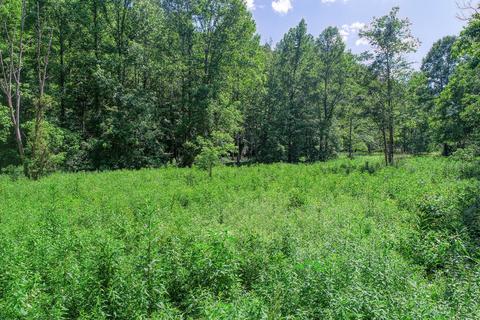 tbd Spruce Pine Road Rogersville Tn 37857, Rogersville, TN 37857