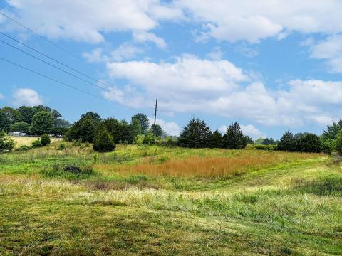 0 Tarr Road Talbott Tn 37877, Talbott, TN 37877 photo 13