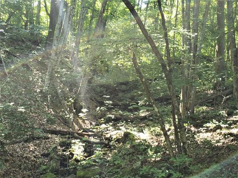 6180 Clinch Mtn Road Eidson Tn 37731, Eidson, TN 37731 photo 6