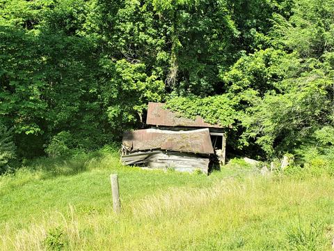 6180 Clinch Mtn Road Eidson Tn 37731, Eidson, TN 37731 photo 19