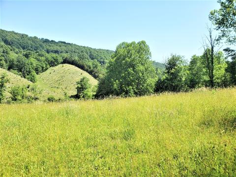 6180 Clinch Mtn Road Eidson Tn 37731, Eidson, TN 37731 photo 34