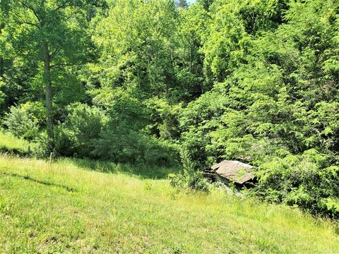 6180 Clinch Mtn Road Eidson Tn 37731, Eidson, TN 37731 photo 31
