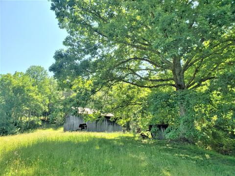6180 Clinch Mtn Road Eidson Tn 37731, Eidson, TN 37731 photo 33