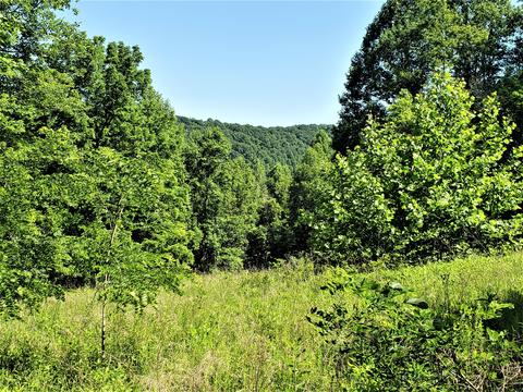 6180 Clinch Mtn Road Eidson Tn 37731, Eidson, TN 37731 photo 8