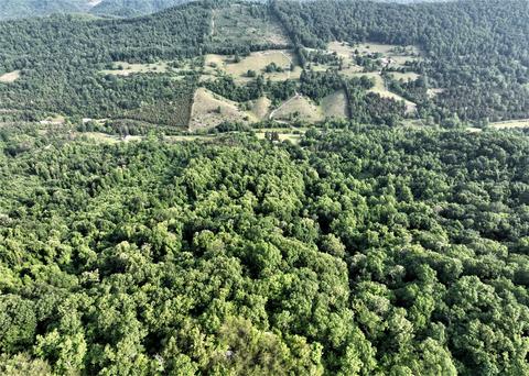 6180 Clinch Mtn Road Eidson Tn 37731, Eidson, TN 37731 photo 39