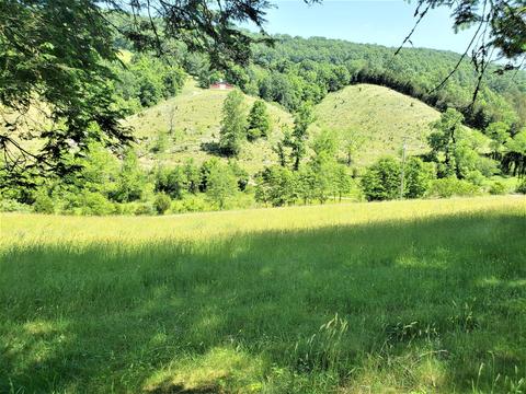 6180 Clinch Mtn Road Eidson Tn 37731, Eidson, TN 37731 photo 30