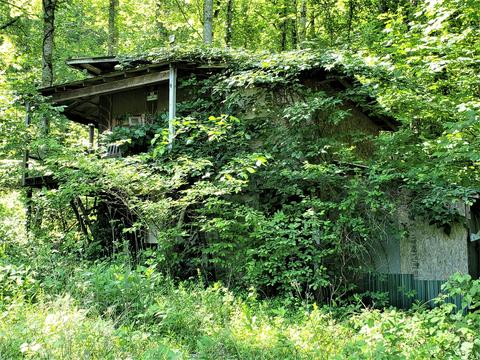 6180 Clinch Mtn Road Eidson Tn 37731, Eidson, TN 37731 photo 7