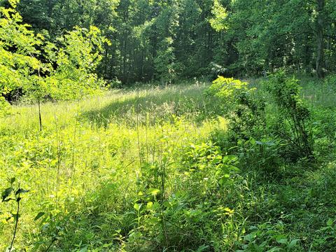 6180 Clinch Mtn Road Eidson Tn 37731, Eidson, TN 37731 photo 21