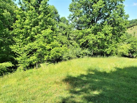 6180 Clinch Mtn Road Eidson Tn 37731, Eidson, TN 37731 photo 32