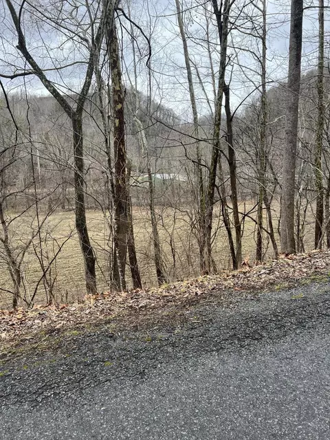 tbd Poga Tract Apt 3 Road Butler Tn 37640, Butler, TN 37640