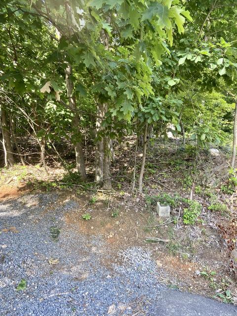 253 Virginia Street Kingsport Tn 37665, Kingsport, TN 37665