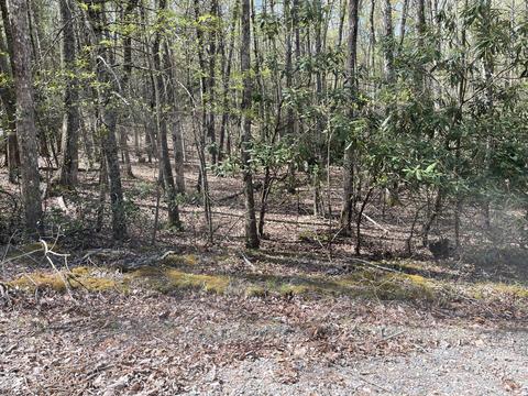 00 Hiddenwood Drive Mountain City Tn 37683, Mountain City, TN 37683