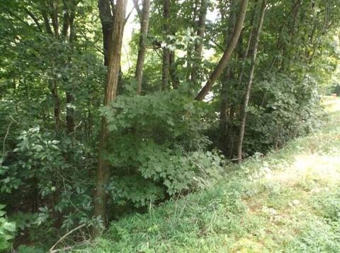 Tr 5 Strawberry Lane, Johnson City, TN 37604
