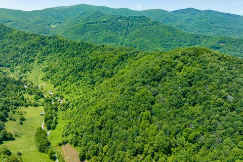 474 Sugar Hollow Road Roan Mountain Tn 37687, Roan Mountain, TN 37687