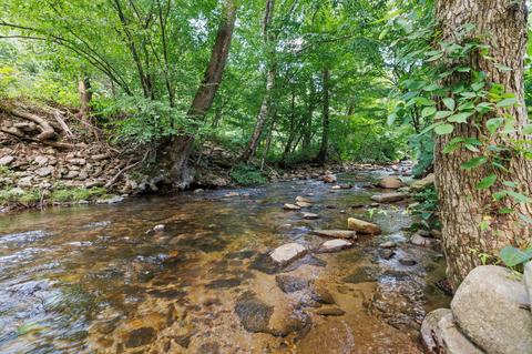 300 House Ridge Road Erwin Tn 37650, Erwin, TN 37650 photo 31