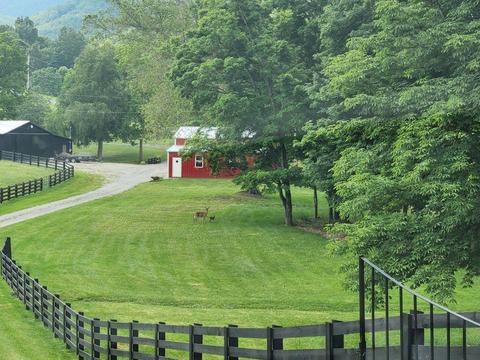 37220 Widener Valley Road Road Glade Spring Va 24340, Glade Spring, VA 24340 photo 67
