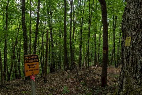 37220 Widener Valley Road Road Glade Spring Va 24340, Glade Spring, VA 24340 photo 65