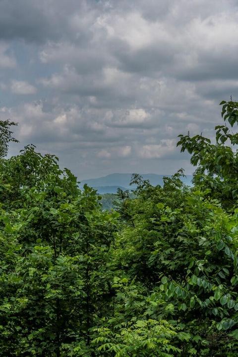 37220 Widener Valley Road Road Glade Spring Va 24340, Glade Spring, VA 24340 photo 66