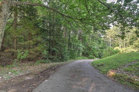 139 Bodhi Lane Erwin Tn 37650, Erwin, TN 37650 photo 62